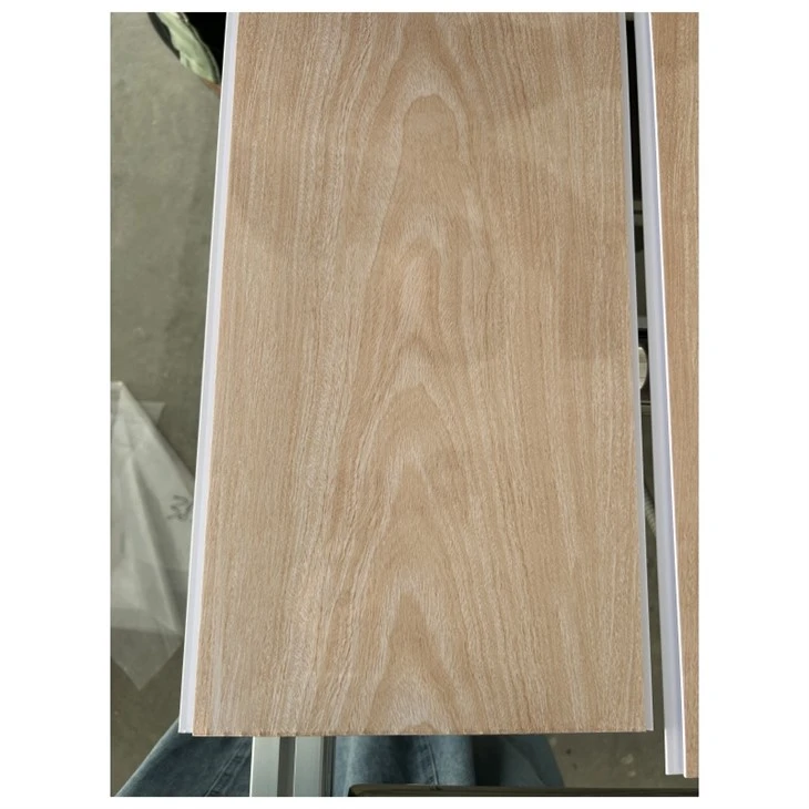 PVC takpanel Techo PVC