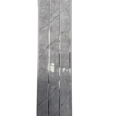 Blank PVC takpanel